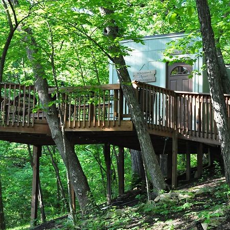 Seven Oaks - Treehouse With Deck Villa Lenexa Exterior foto